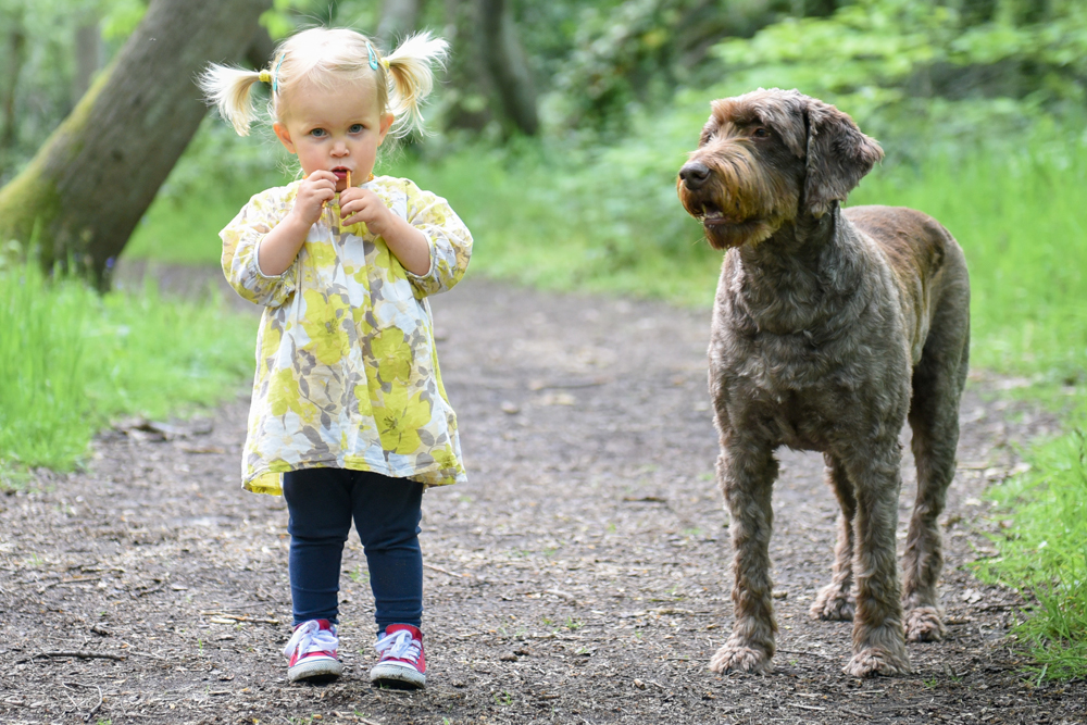 baby-dog_1000x667
